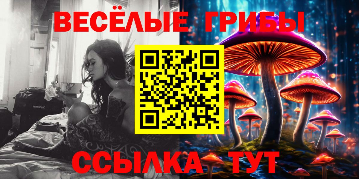 продажа наркотиков  Псилоцибиновые грибы Magic Shrooms  Люберцы  Вход с VPN  Псилоцибиновые грибы Psilocybine cubensis 