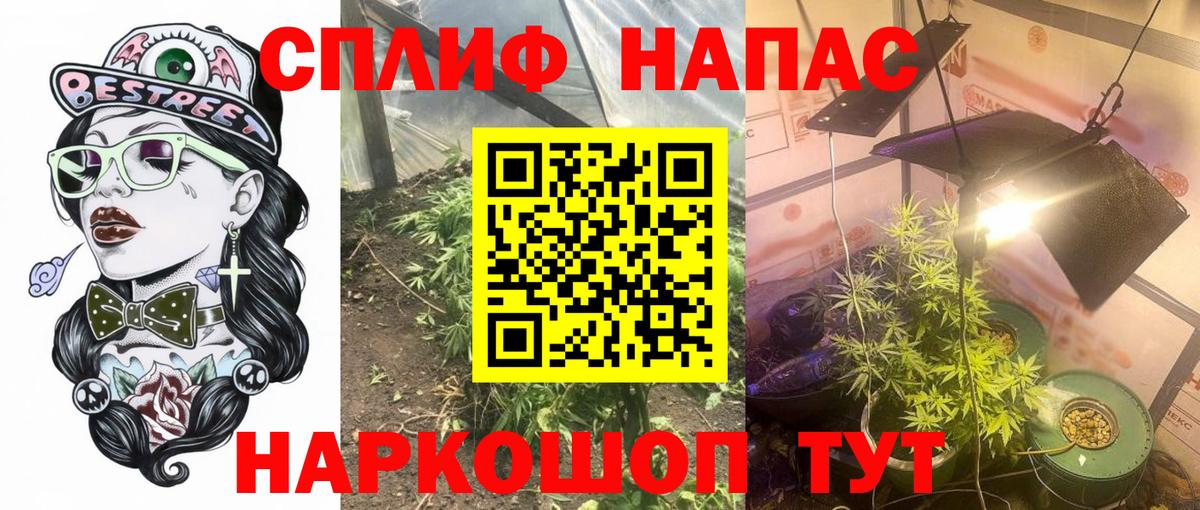 Канабис гибрид Люберцы